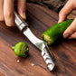 🌶️Cumpărați 1 Obțineți 1 GRATUIT🌶️Spatula din oțel inoxidabil pentru îndepărtarea semințelor din ardeii iute